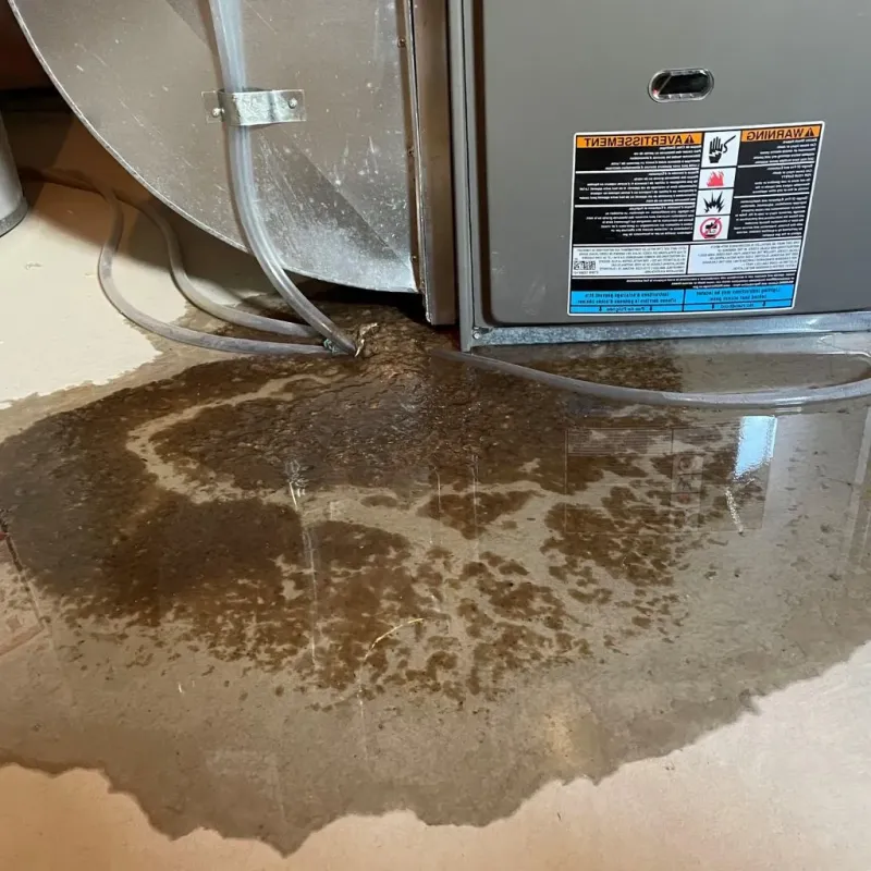 Pipe Burst and Leak Restoration in Warren County, NY